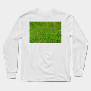 Lake Irene 2012 Study 14 Long Sleeve T-Shirt